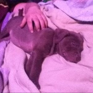 Meet your Posher, Allyson